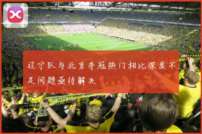 辽宁队与北京夺冠热门相比深度不足问题亟待解决